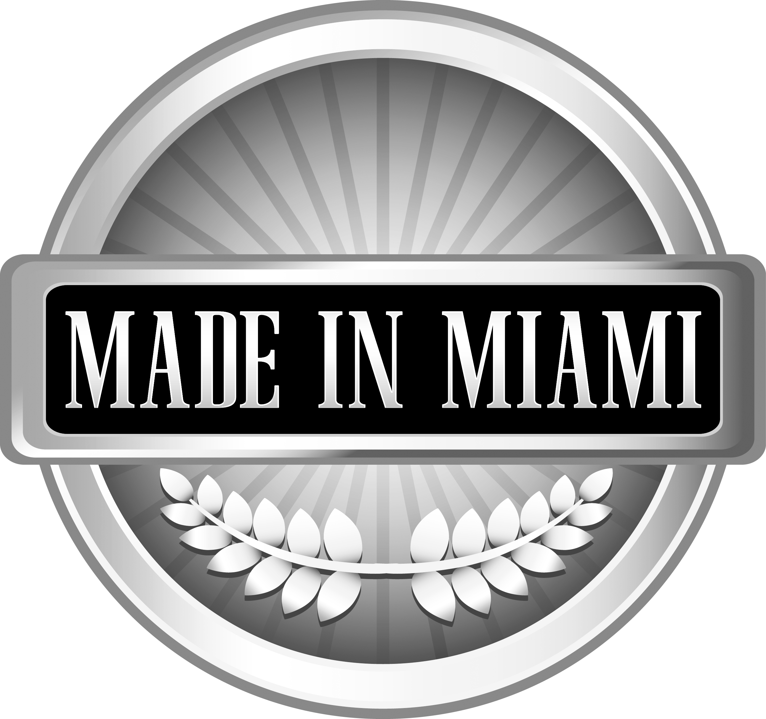 Banner 2 miami silver